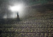 メンズレインウェアおすすめラインナップ6選｜雨でも捗るオシャレな農作業